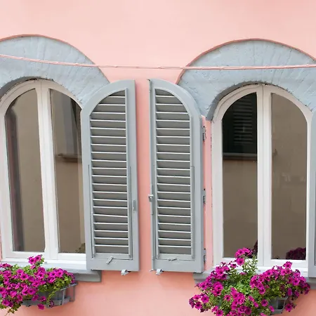 Bibiarezzo 2*